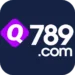 Q789 Game
